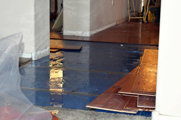 Professional Water Damage Restoration technician working in Carrollton, MI